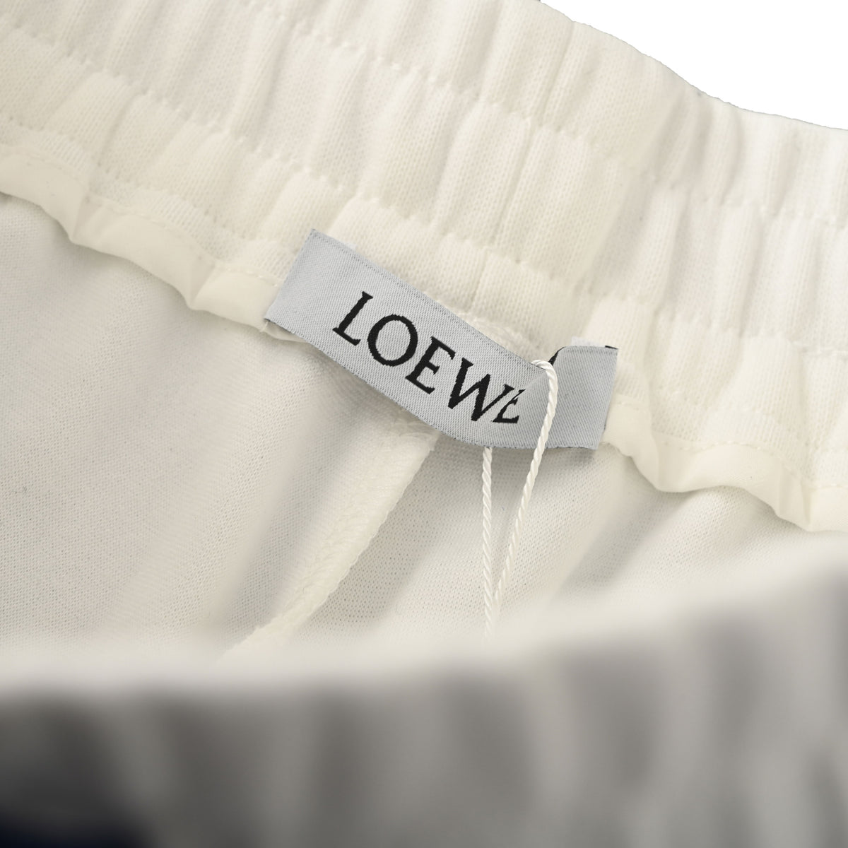 123_Loewe_罗意威 周年限定狮子植绒贴布短裤